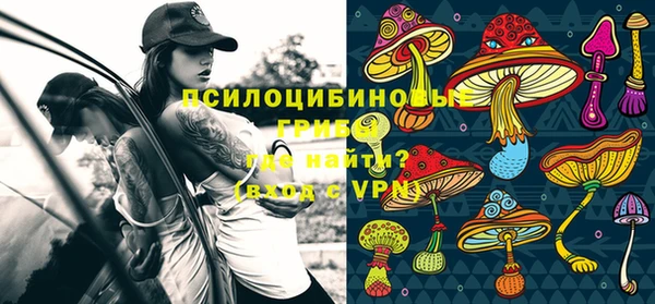 дурь Абинск
