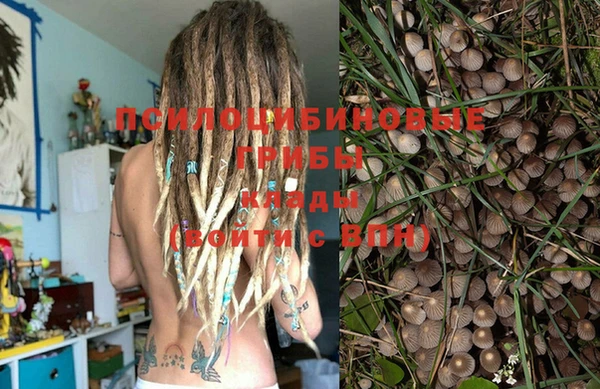 дурь Абинск