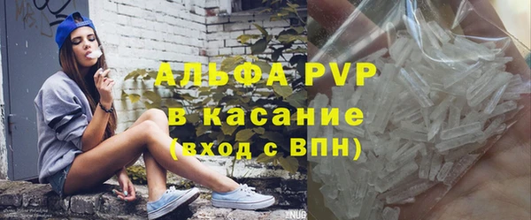 сатива Ростов