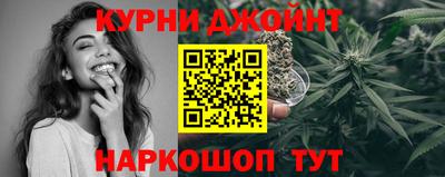 ALPHA PVP Гай