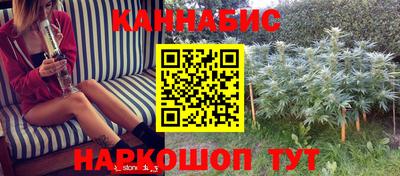стаф Гагарин
