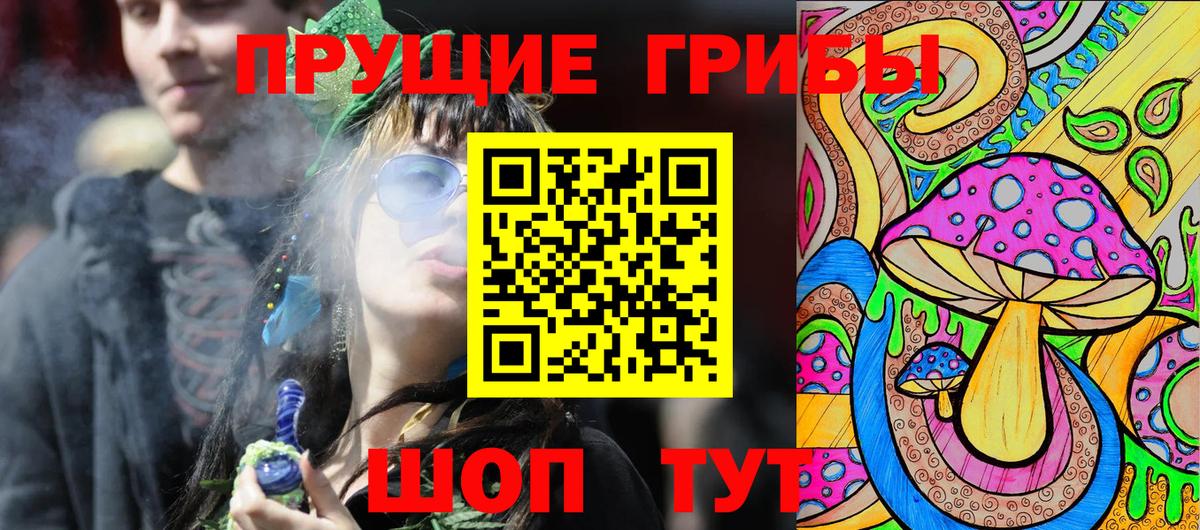 Псилоцибиновые грибы Psilocybine cubensis  Вход с VPN  Курчатов 